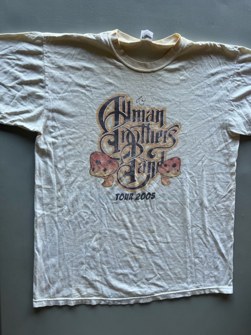 Vintage Allman Brothers Band Tour 2005 T-Shirt Anvil USA Cream Distressed L